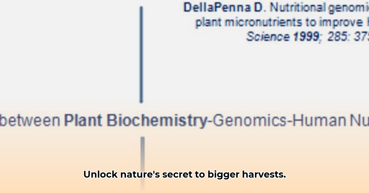 benefits-of-being-a-plant-biochemistry